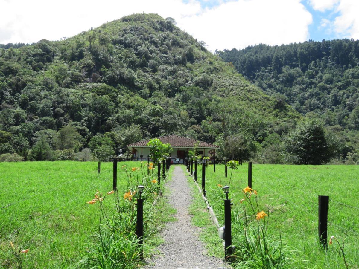 La Cabana Ecohotel - Valle Del Cocora Salento Exterior foto